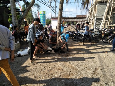 penyembelihan-hewan-kurban